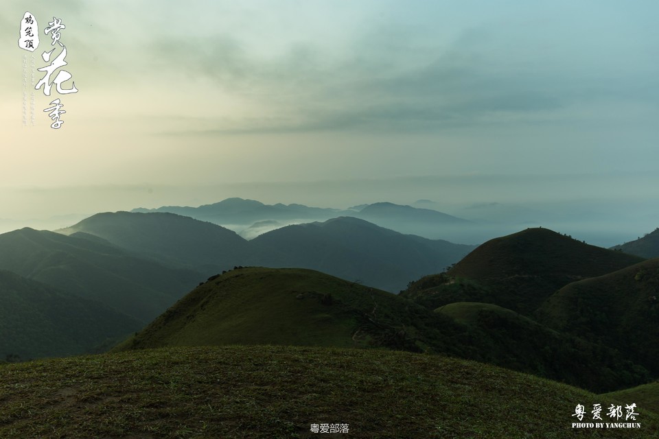 170506阳春鸡笼顶