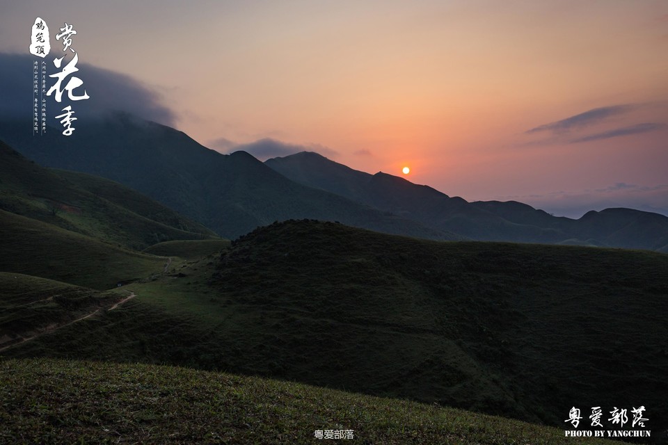 170506阳春鸡笼顶