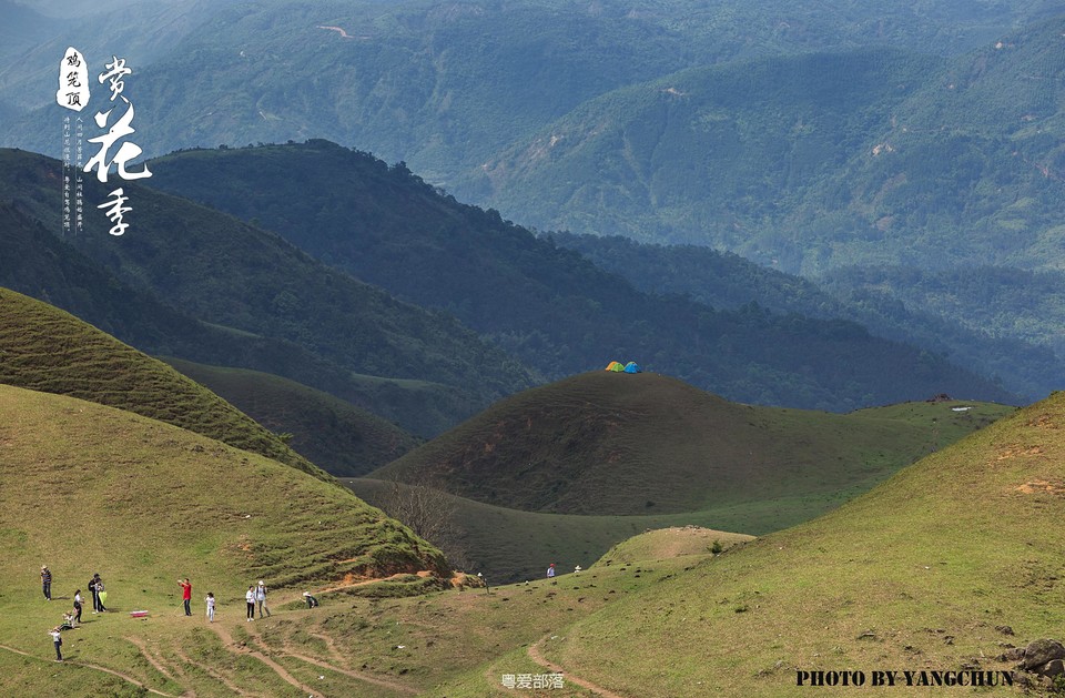 170506阳春鸡笼顶