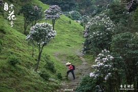 170506阳春鸡笼顶