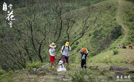 170506阳春鸡笼顶