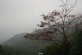 170108增城牛牯嶂