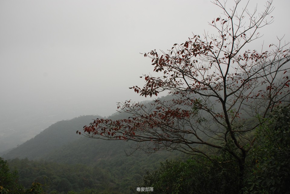 170108增城牛牯嶂