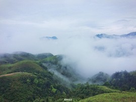 170422阳春鸡笼顶
