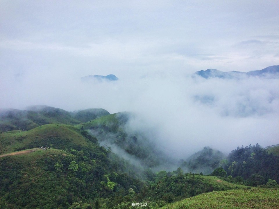 170422阳春鸡笼顶