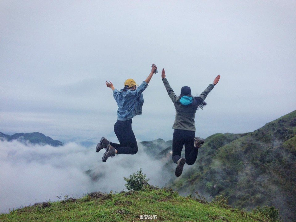 170422阳春鸡笼顶