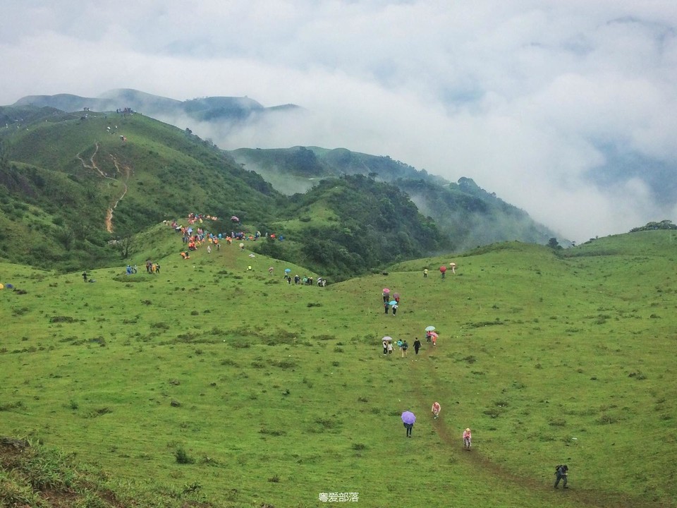 170422阳春鸡笼顶