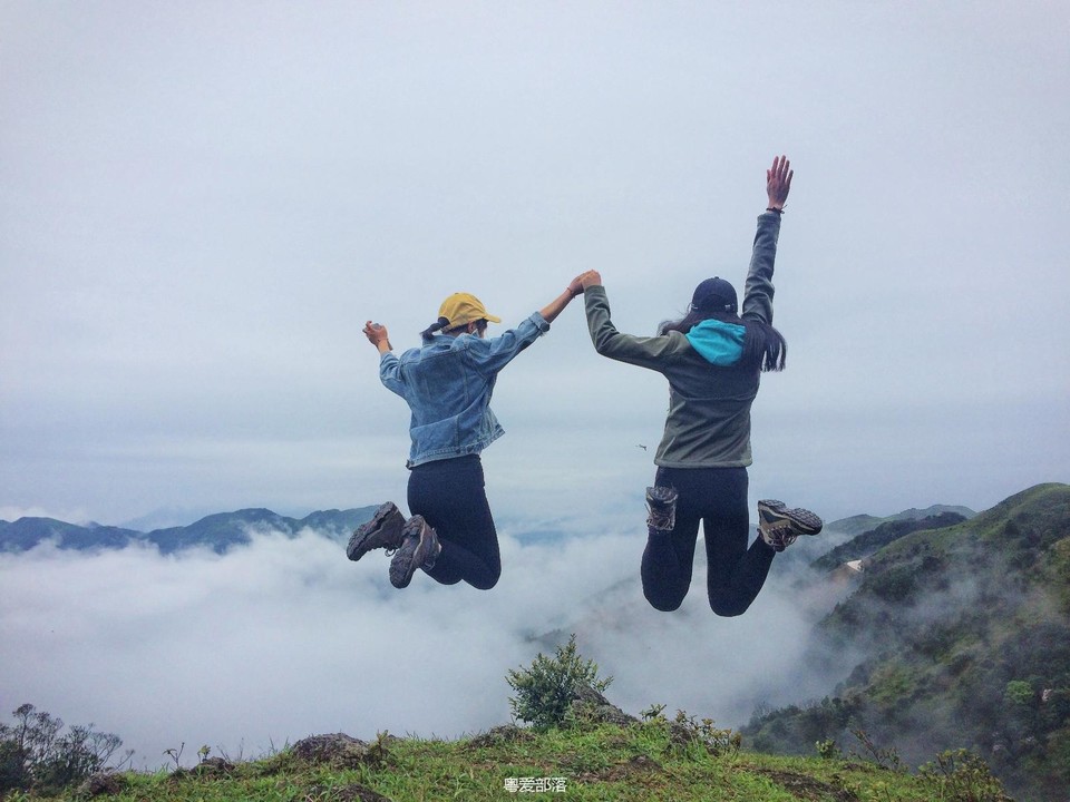 170422阳春鸡笼顶