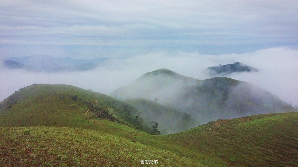 170413阳春鸡笼顶