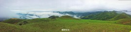 170413阳春鸡笼顶
