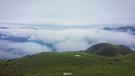 170413阳春鸡笼顶