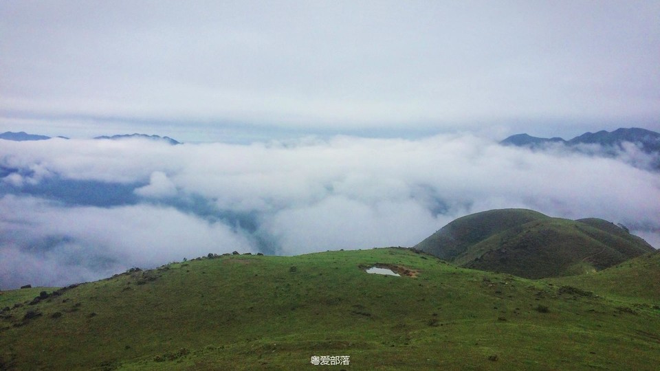 170413阳春鸡笼顶