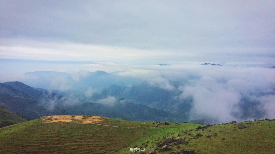 170413阳春鸡笼顶