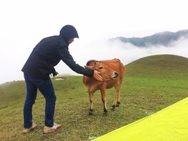 170413阳春鸡笼顶