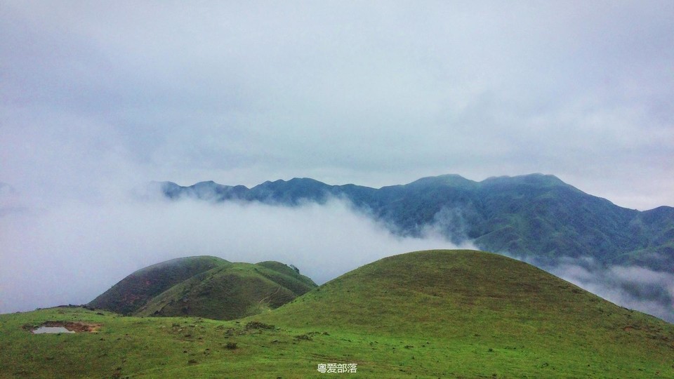 170413阳春鸡笼顶