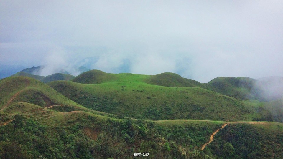 170413阳春鸡笼顶