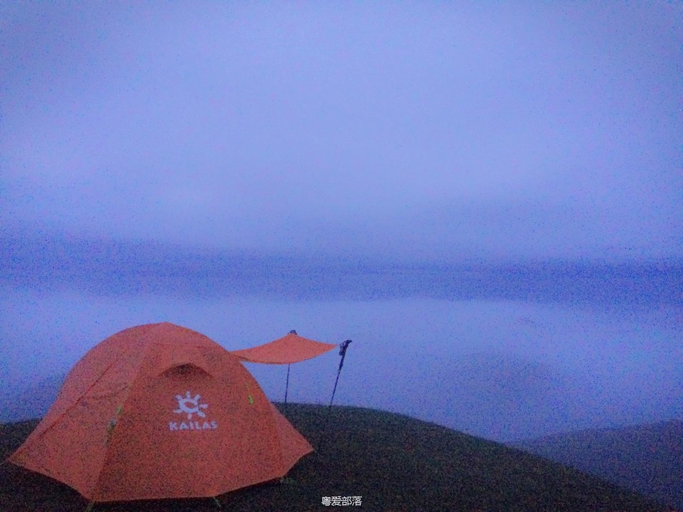 170413阳春鸡笼顶