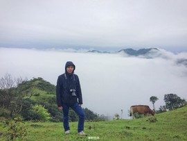 170413阳春鸡笼顶