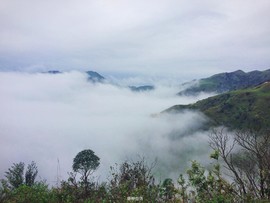 170413阳春鸡笼顶