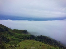 170413阳春鸡笼顶