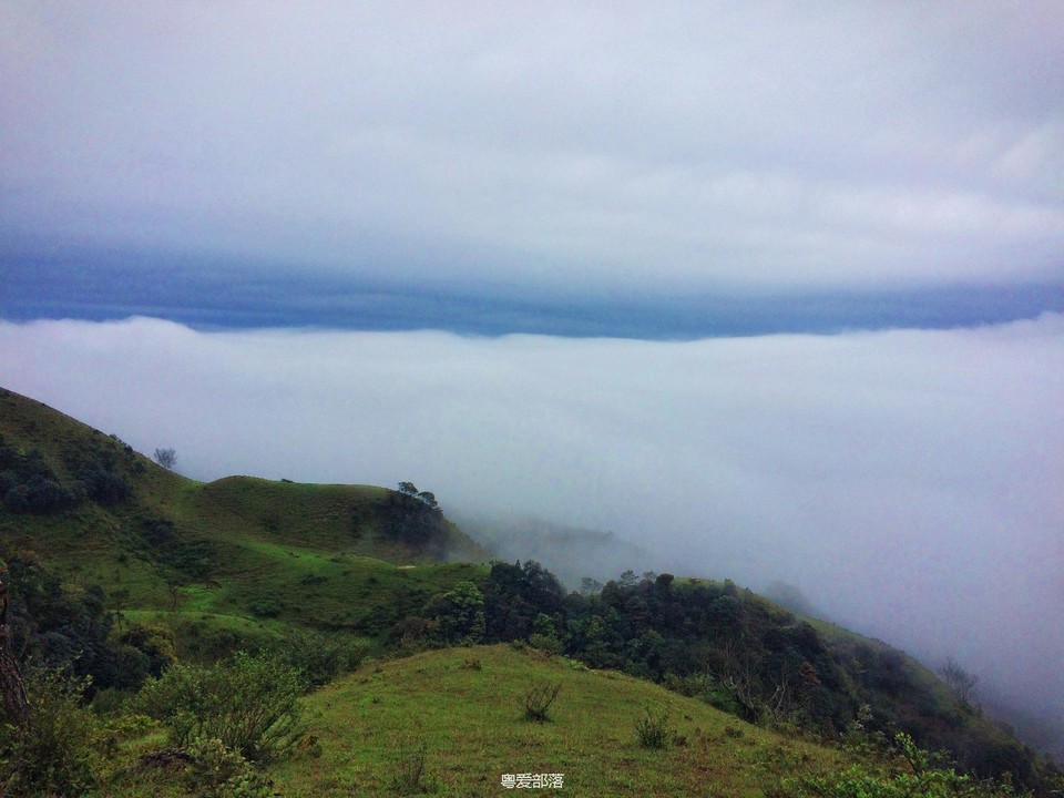 170413阳春鸡笼顶