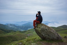 170422阳春鸡笼顶