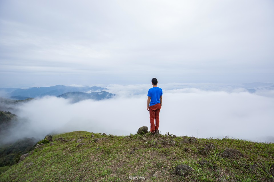 170422阳春鸡笼顶