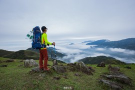 170422阳春鸡笼顶