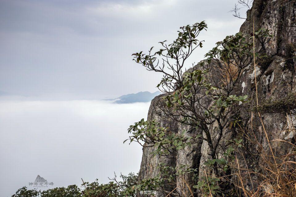 170108韶关龙斗峰