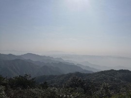 mmexport1518520268957