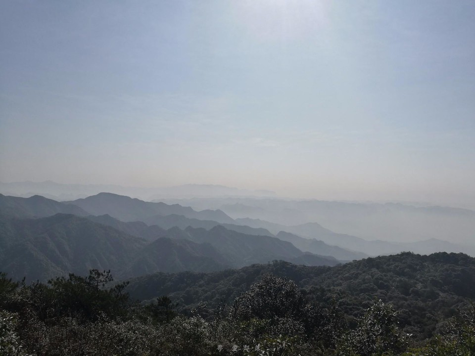 mmexport1518520268957