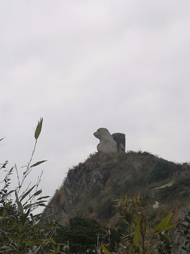 mmexport1518520230508