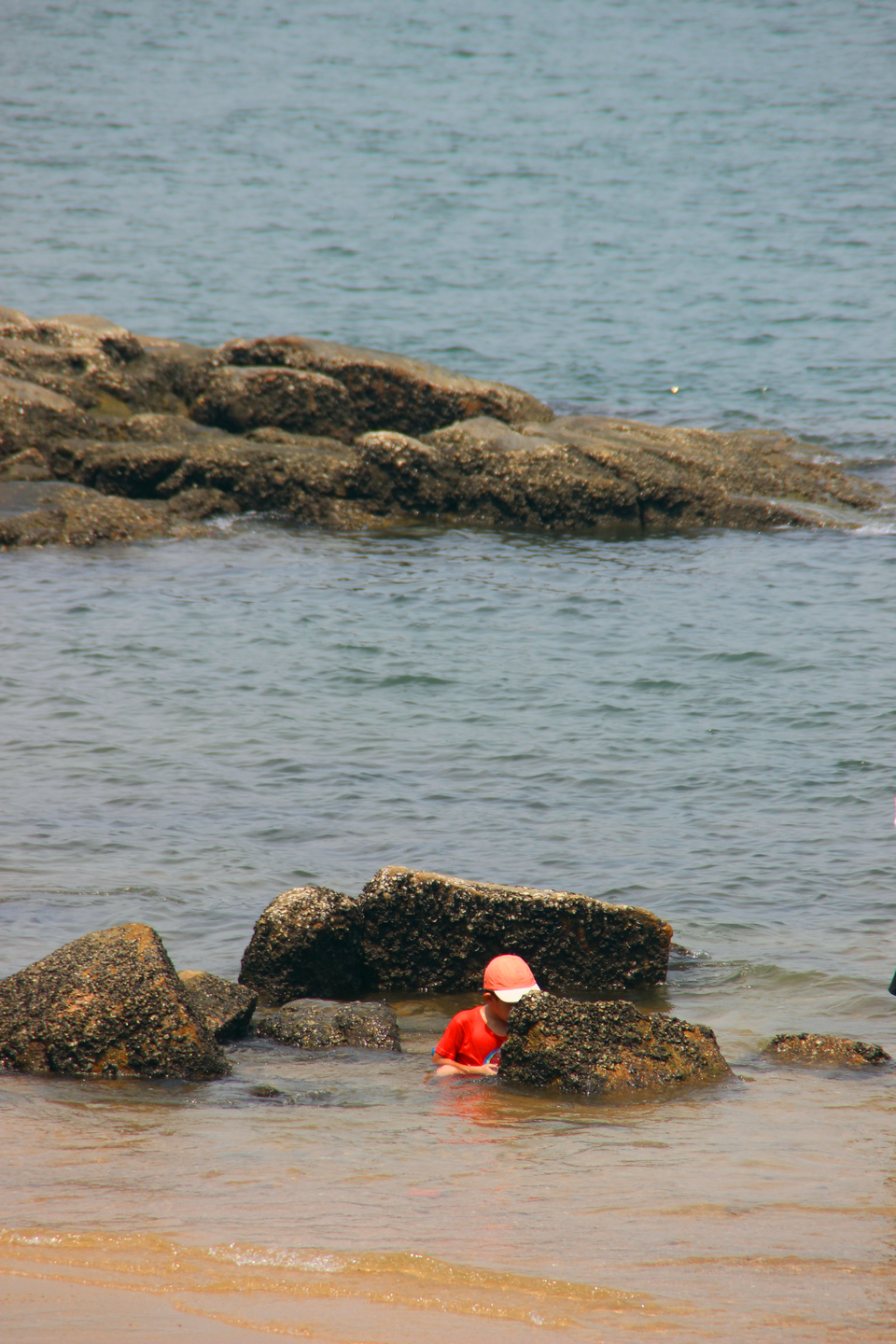 mmexport1535330117356