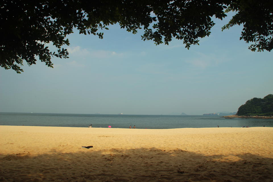 mmexport1535330178268