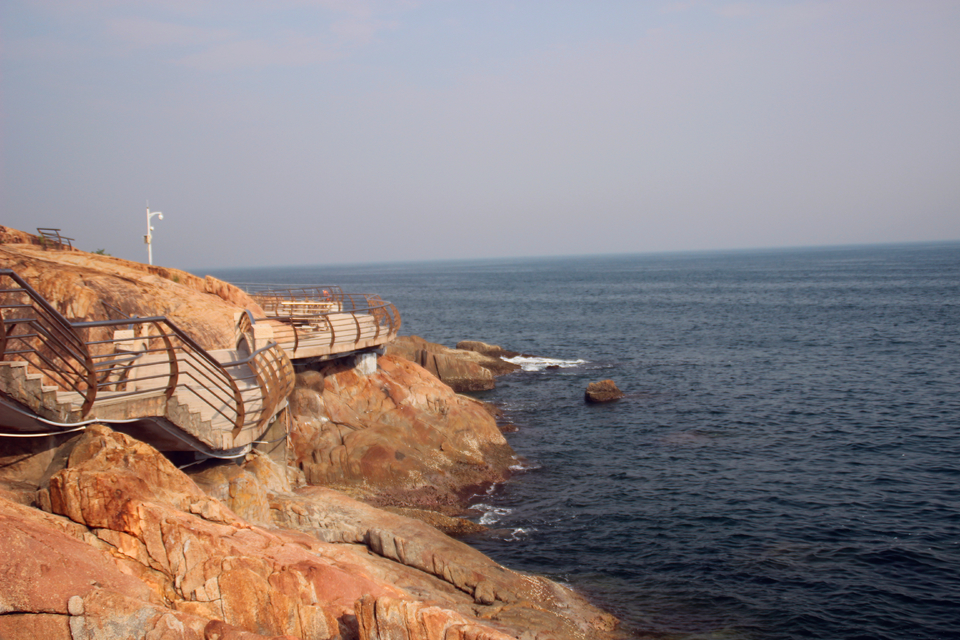 mmexport1535330259491