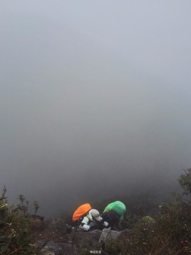 170311船底顶罗新线