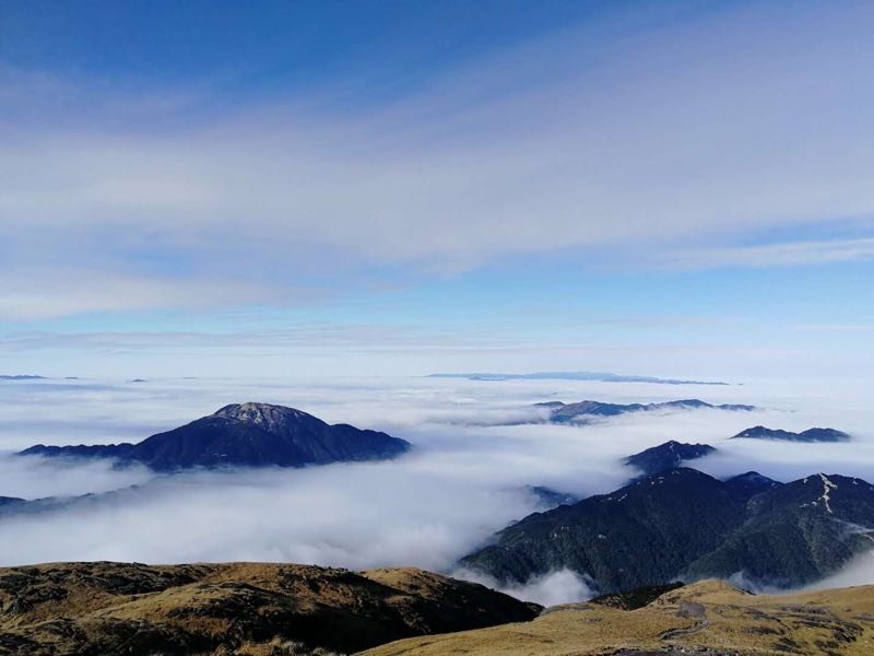 微信图片_201901020029361