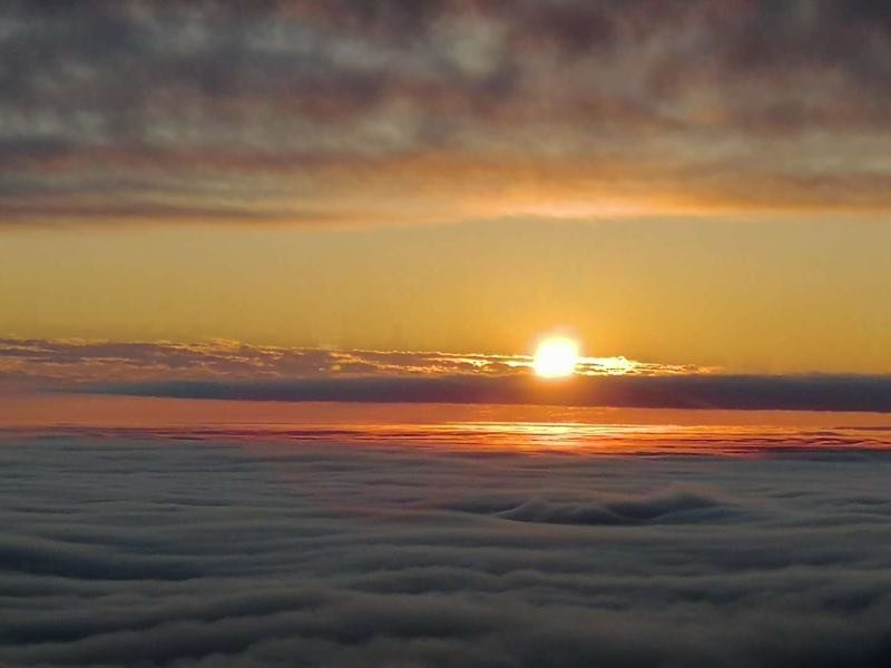 微信图片_201901020029362