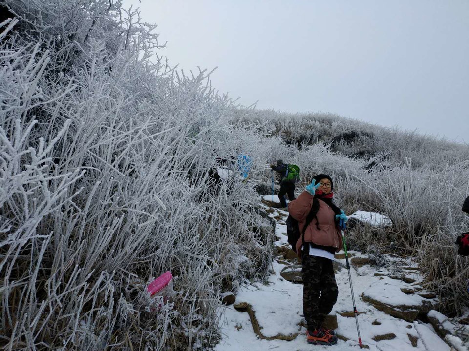 微信图片_201901020029363