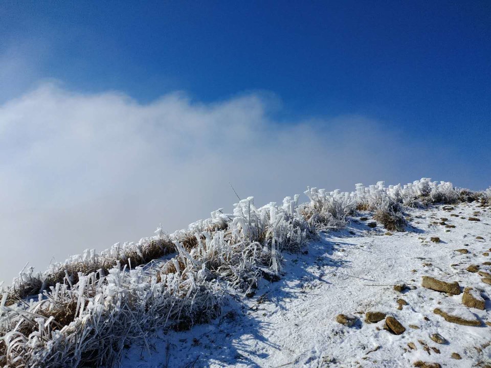 微信图片_201901020029364