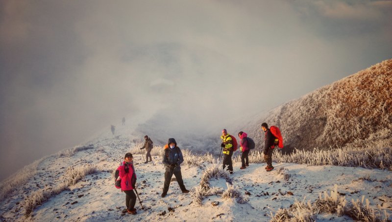 微信图片_2019010200293621