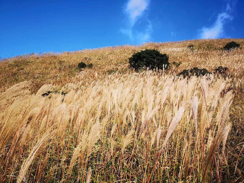 微信图片_20201029155911