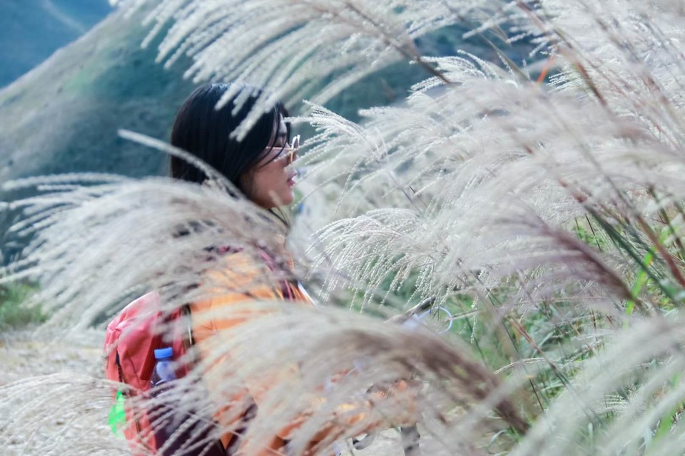 微信图片_20201029155917