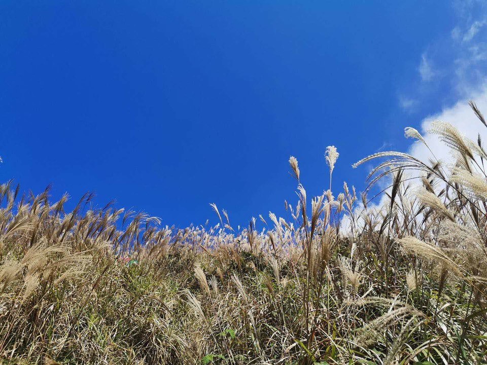 微信图片_20201029155926