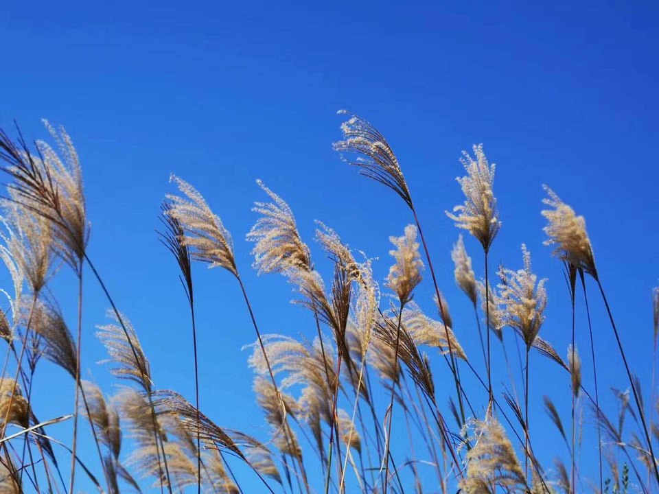 微信图片_20201029155932