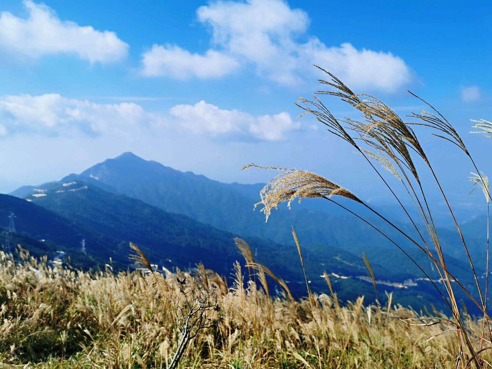 微信图片_20201029155937