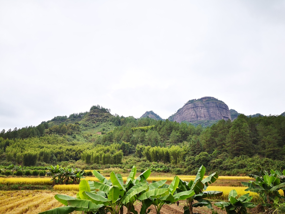 微信图片_20181105124324