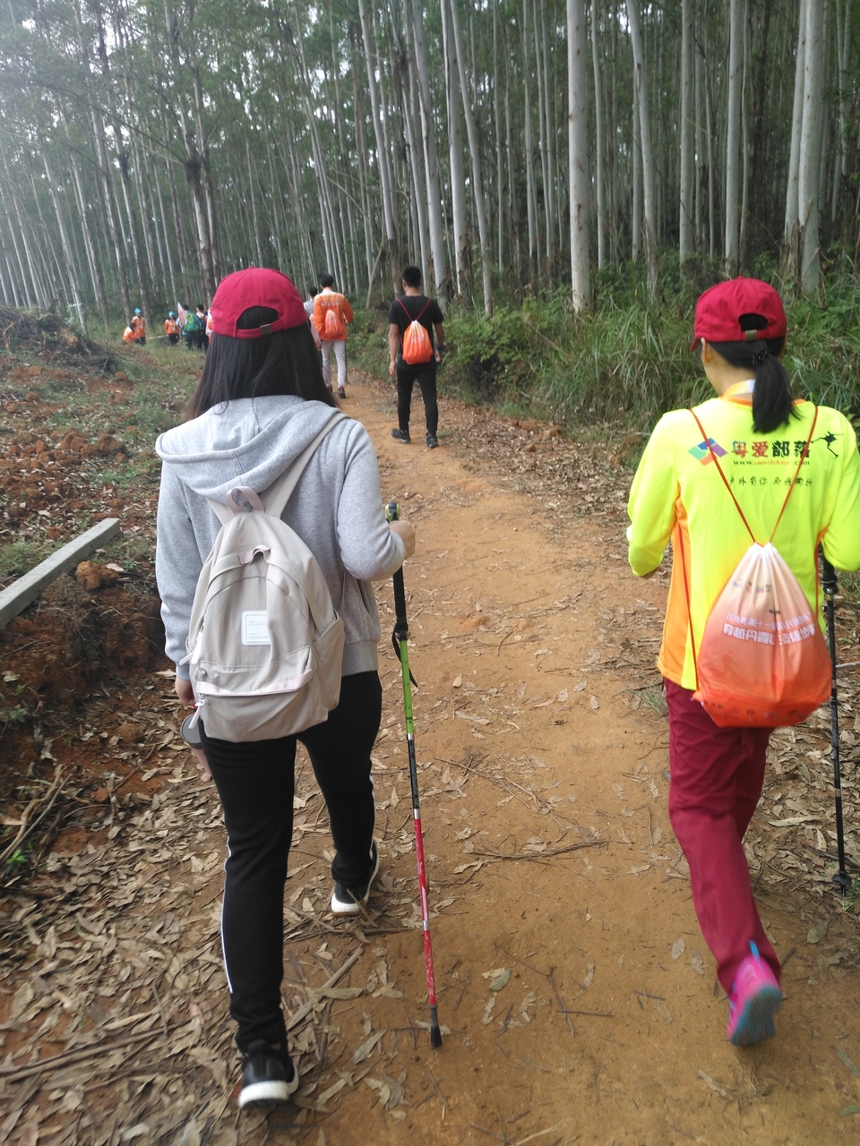 微信图片_20181105124423