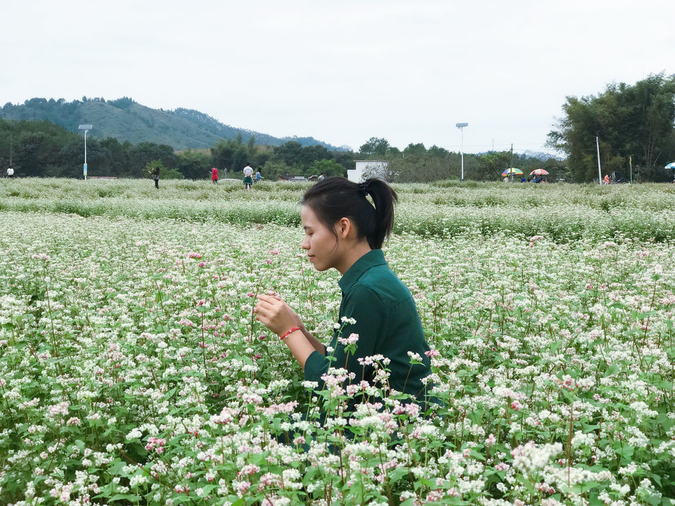 微信图片_20181105133228