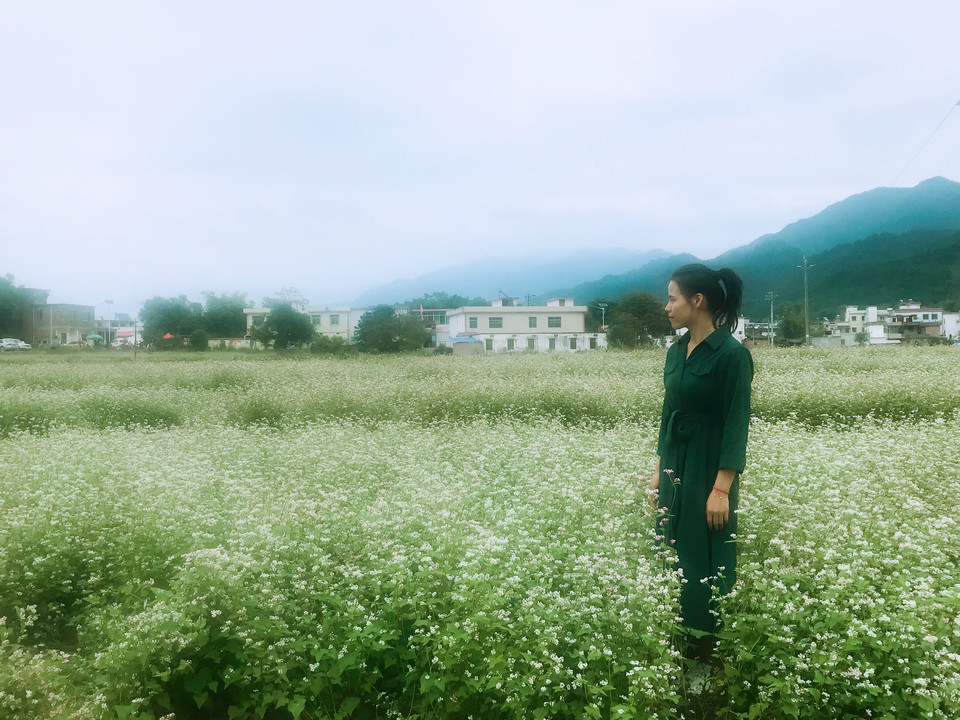 微信图片_20181105133235